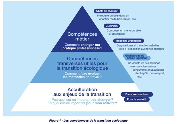 La pyramide des compétences de la trnsition écologique - Shift project